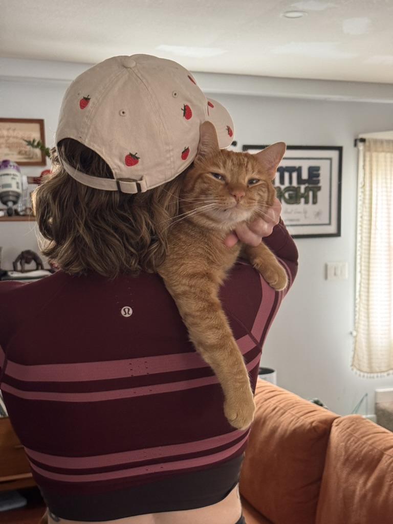 An orange cat being carried at home
